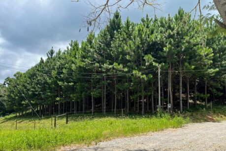 Fazenda <br>Sol Nascente