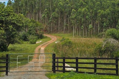 Fazenda Produtiva com 93 alqueires, localizada em Capão Bonito p/ Guapiara/SP.
